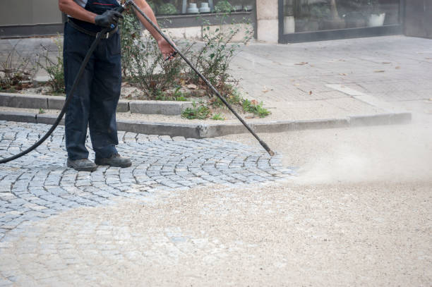 Best Winterizing Services  in Lyons, WI
